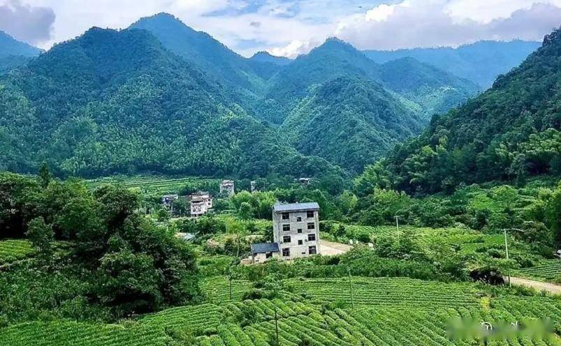 武夷山景点推荐_南平教育网_南平十大必玩景点