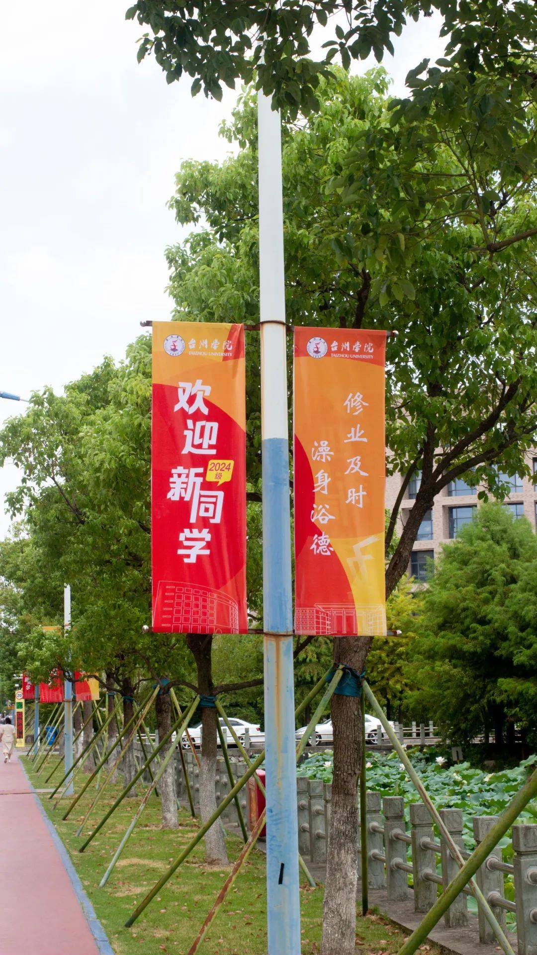 萌新们准备好了吗?