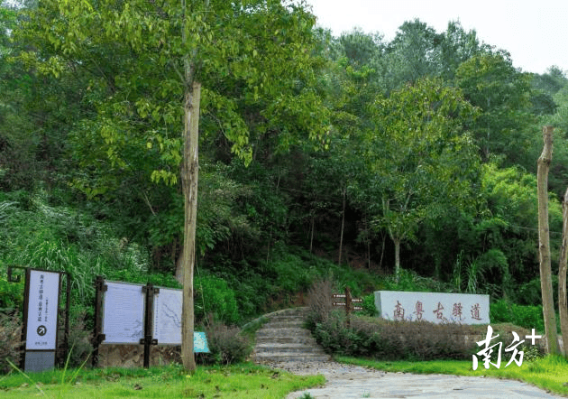 重走南粵古驿道、賞缤紛花海…來梅江區體驗鄉村遊推薦這樣玩