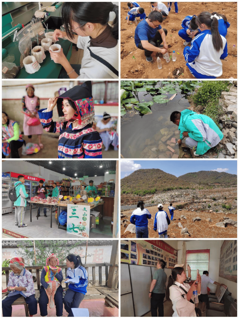 教师风采|张雪梅:躬耕杏坛育桃李 研学实践绽芳华_教学_教育_丘北县