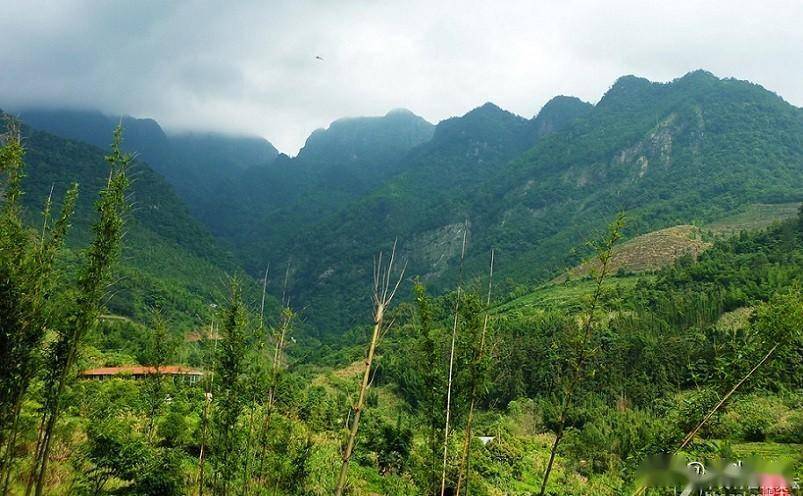 南平教育网_南平十大必玩景点_武夷山景点推荐