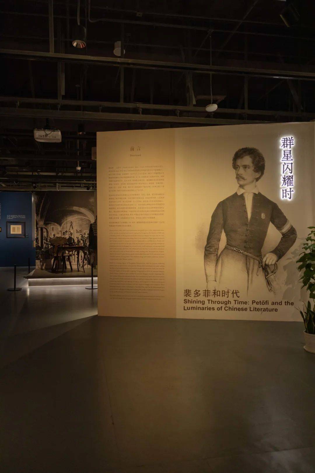 裴多菲_观众_诗歌