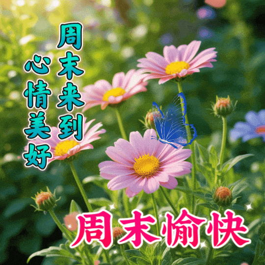 540_540gif 动态图 动图