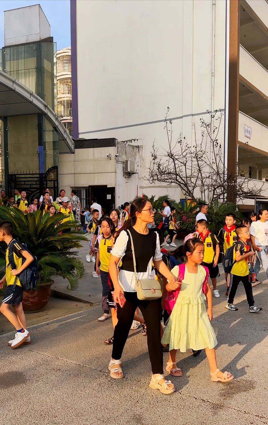 今天,我们开学啦!