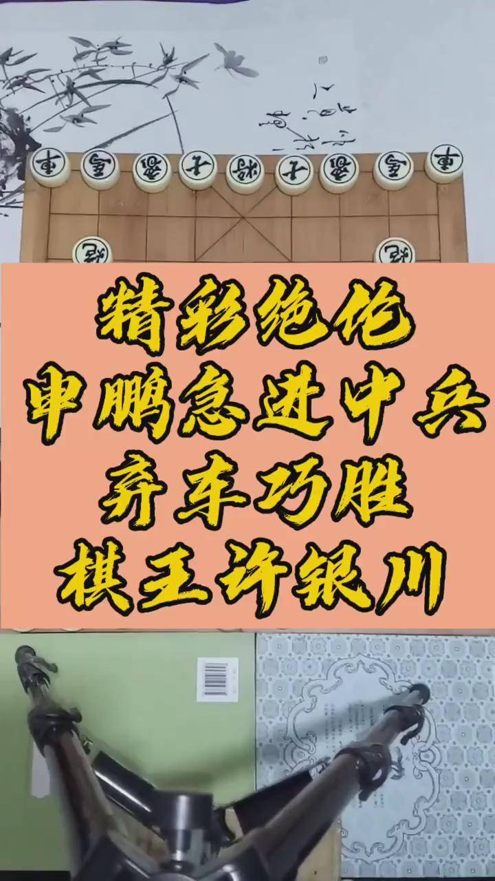 申鹏特级大师简介图片