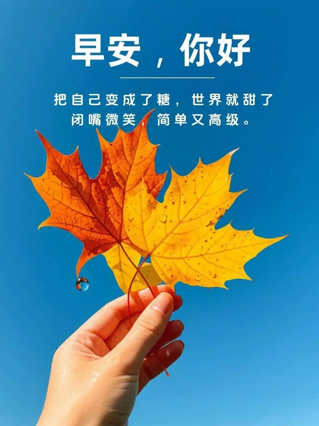 912最新漂亮早安问候祝福图片每天都是好运气每时都有好心情