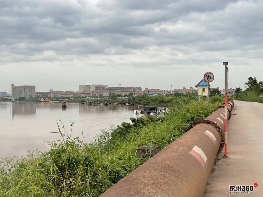 骑行畅游沙井港中秋打算周边游的钦州人可以来抄作业了