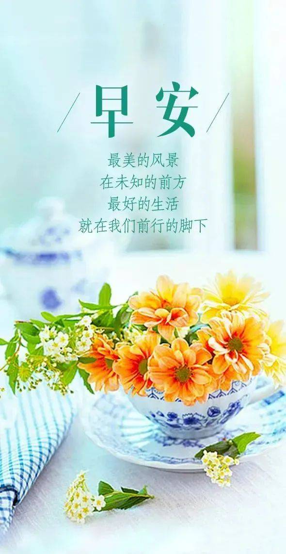 早安励志心语每日一句经典(早安励志语录经典短句2021)