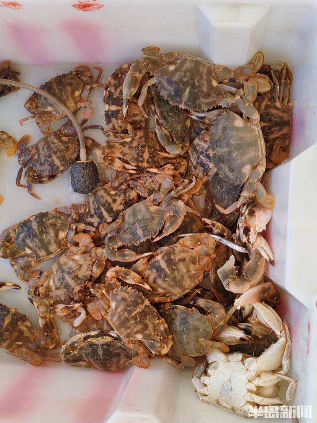 小长假,海货码头真热闹