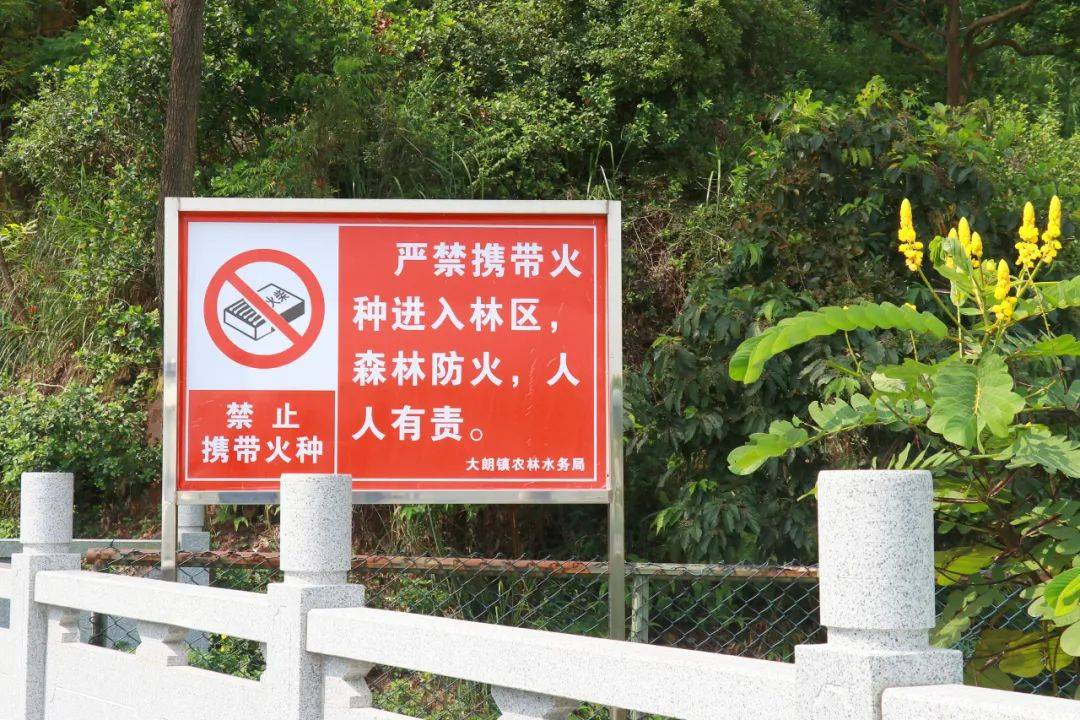 大朗做好森林防火工作