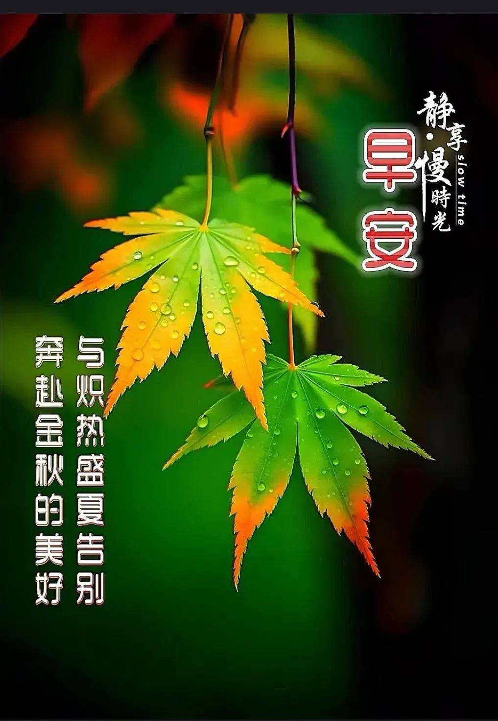 16周一唯美祝福图片大全 祝福深深