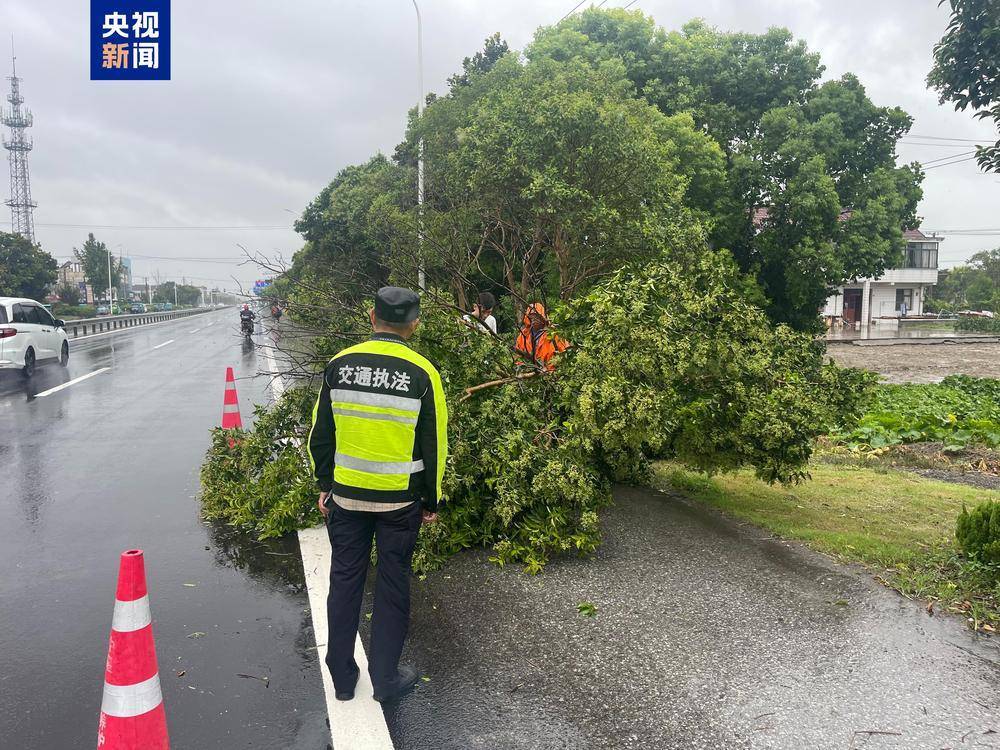 受台风"贝碧嘉"影响 江苏六座长江大桥道路封闭