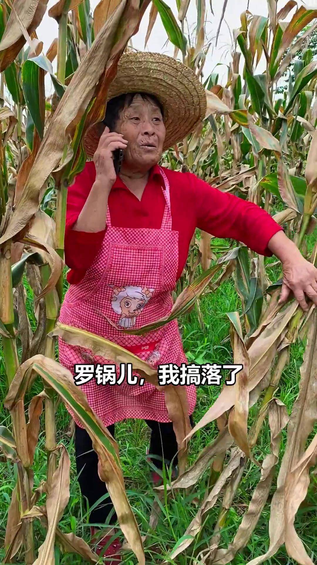 喊几千个人来得怕找不到你搞笑 农村搞笑段子 我的乡村生活