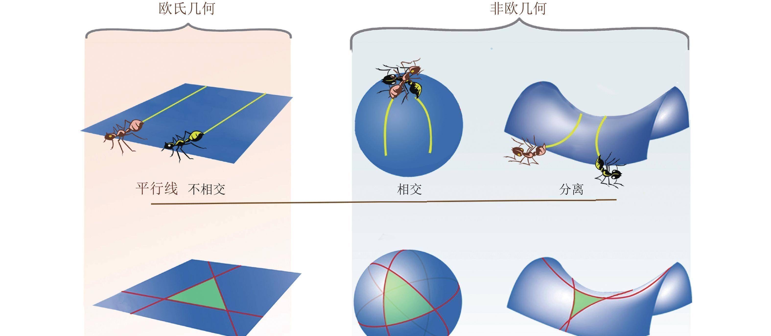 双曲几何平行线示意图图片