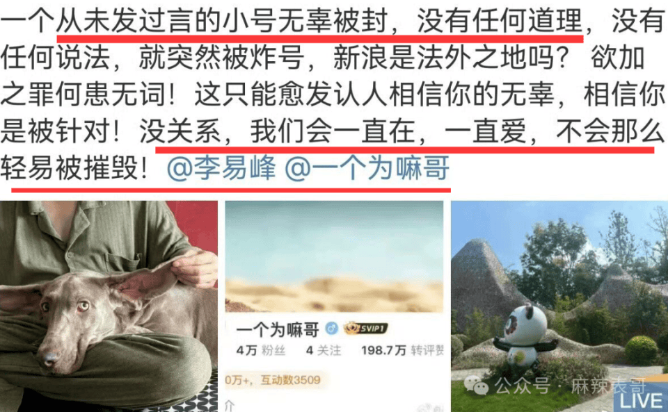 刚开小号就被炸？是真不用想了