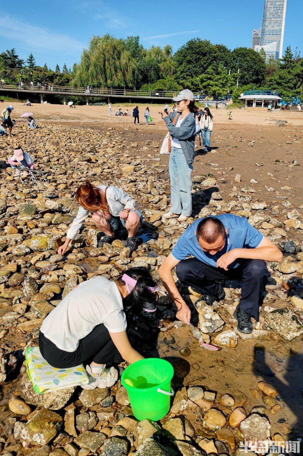 抓鱼摸蟹,欢乐海滩