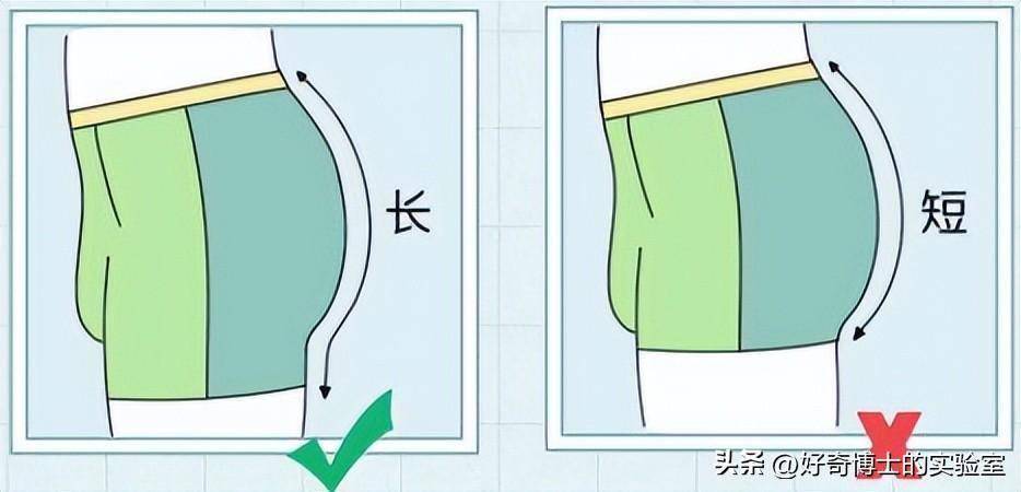 你们根本不知道,男士内裤的正确穿法!