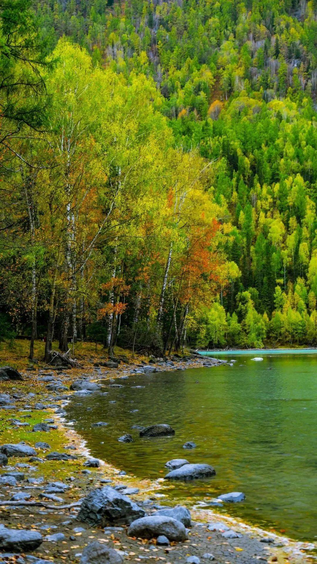 喀纳斯风景图片大全图片