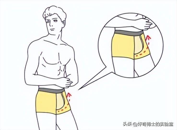 你们根本不知道,男士内裤的正确穿法!