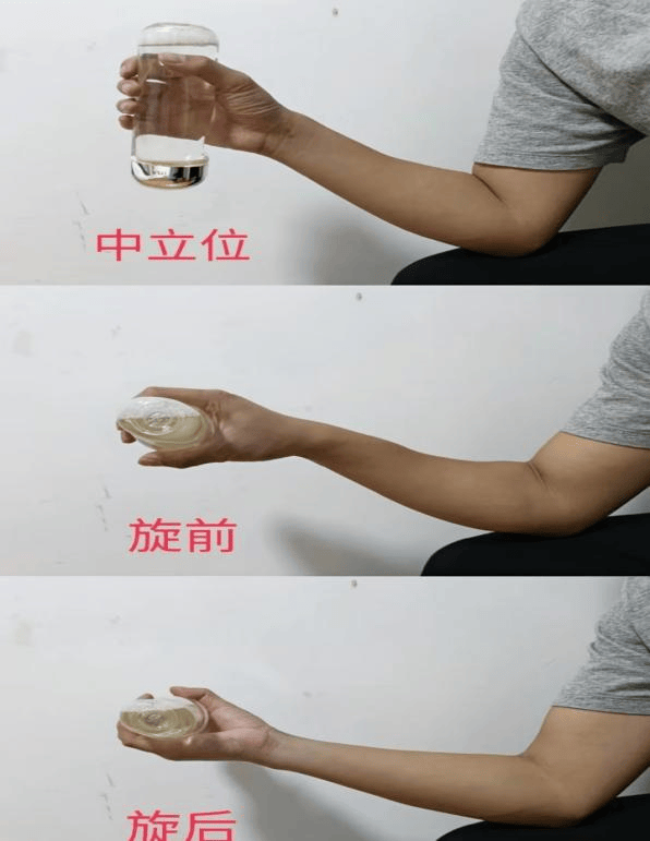 肘关节的运动图片