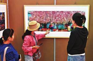 杏花岭区书法美术摄影精品展开展_光影_展览_全区