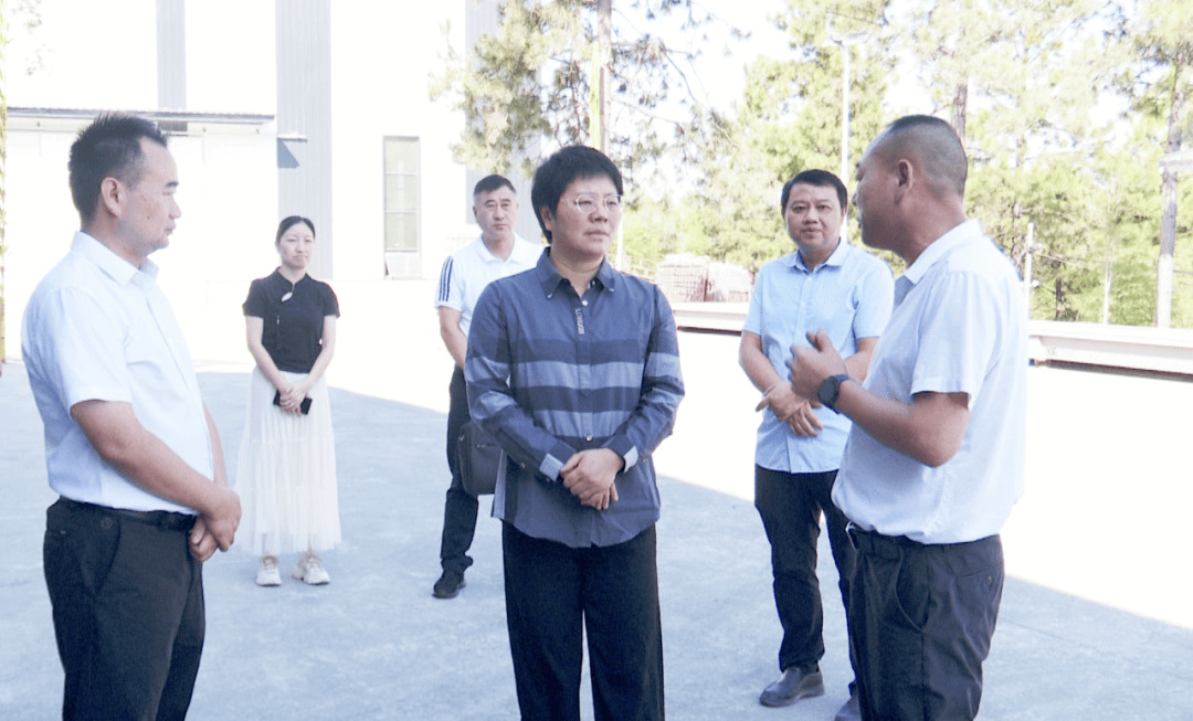 【书记进站】武宁县委书记以人大代表身份进站接待选民