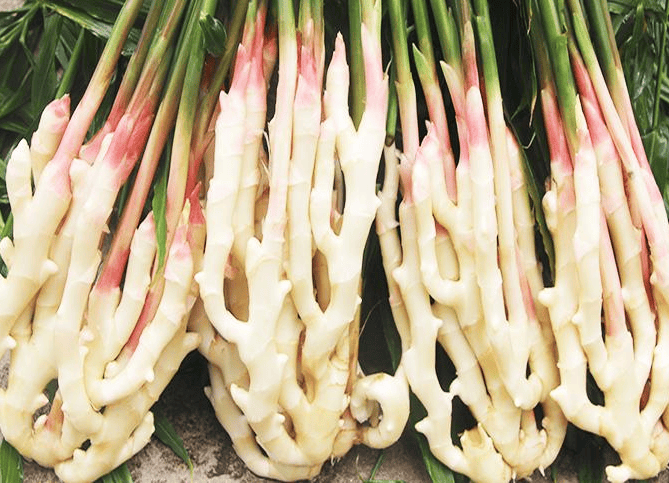 新胜仔姜恋上鸭备受青年人喜爱是养生与时尚的结合口感丰富,麻辣咸鲜