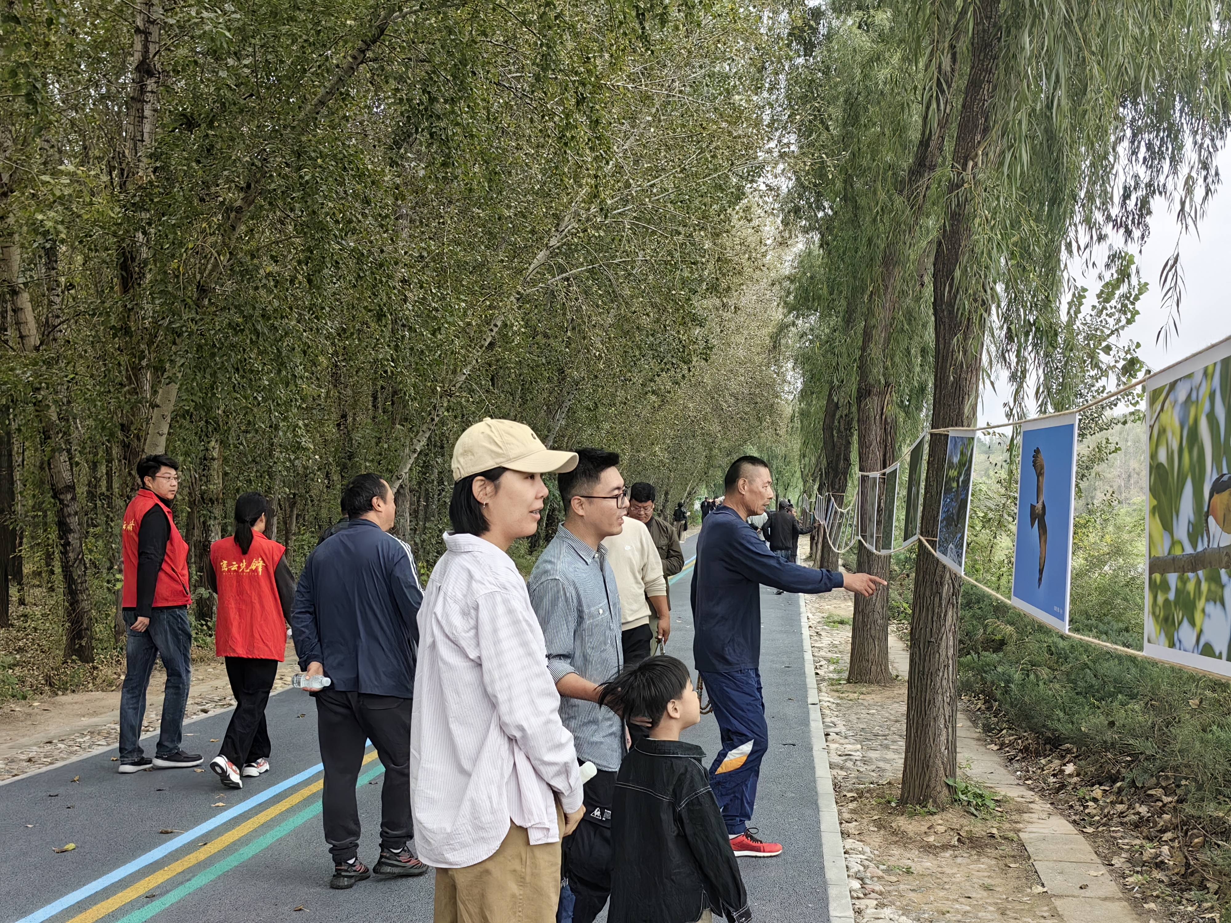 清水河畔,京郊小镇举办首届生态观鸟节