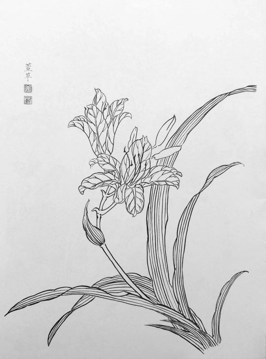 国画花鸟简单简笔图片