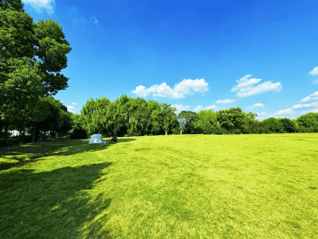 位于镇中路北侧大草坪,碧绿如茵,像大地披着一块柔软的绿毯,没有高楼