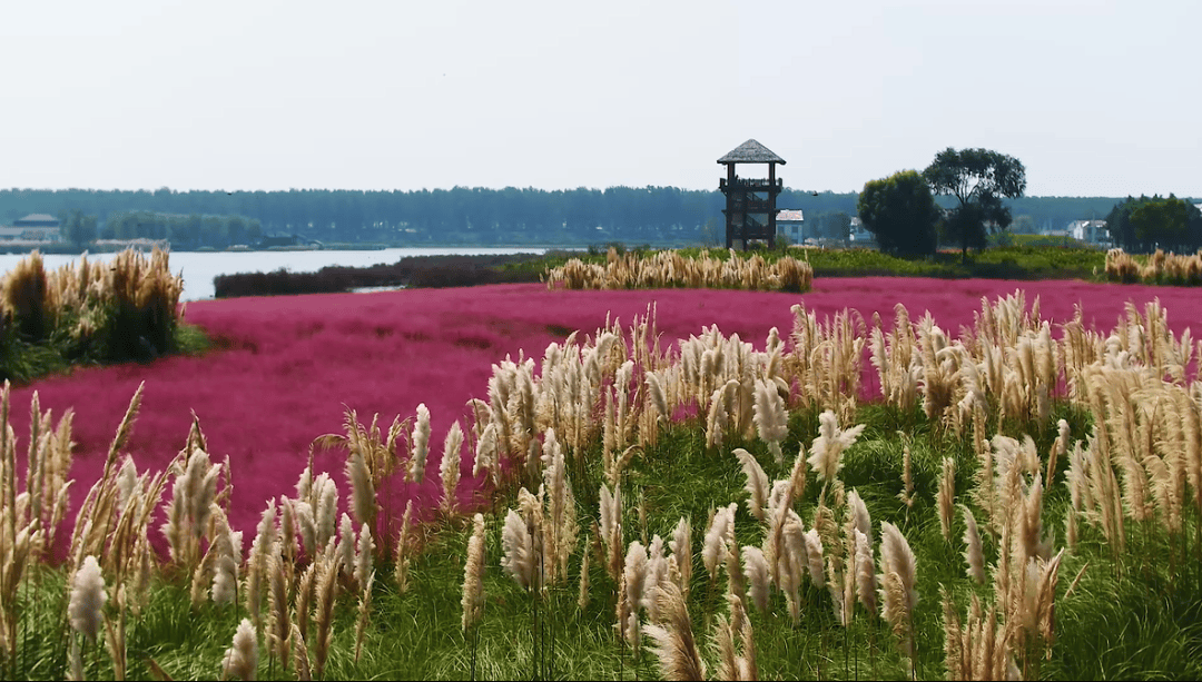 潮河湾风景区介绍图片