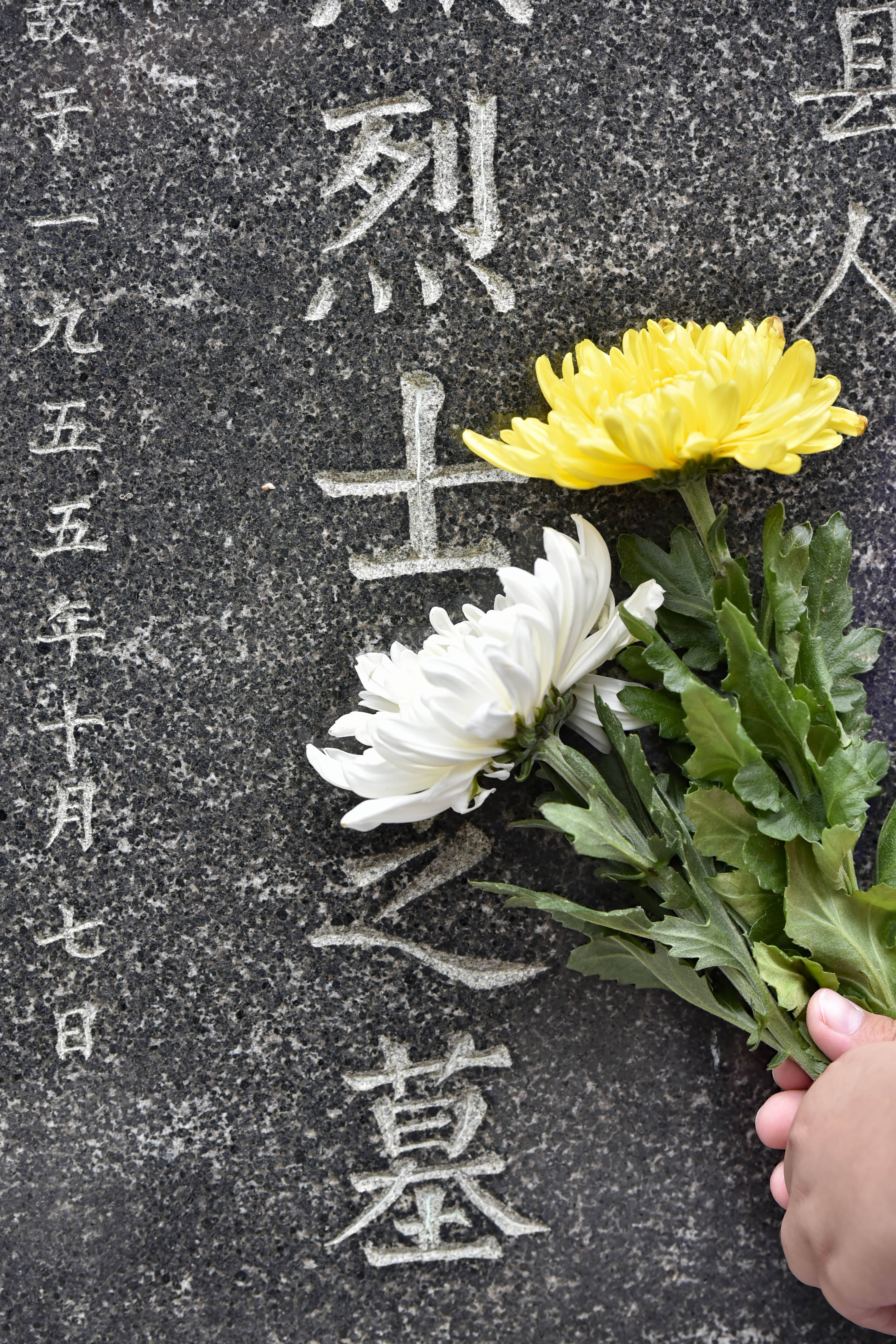 缅怀英烈 致敬英雄#