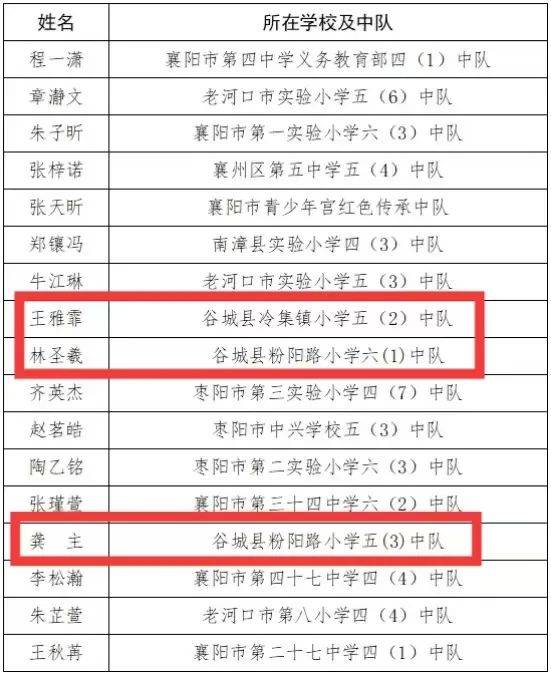 祝贺我县少先队员荣获……_青年_谷城县_以下事项