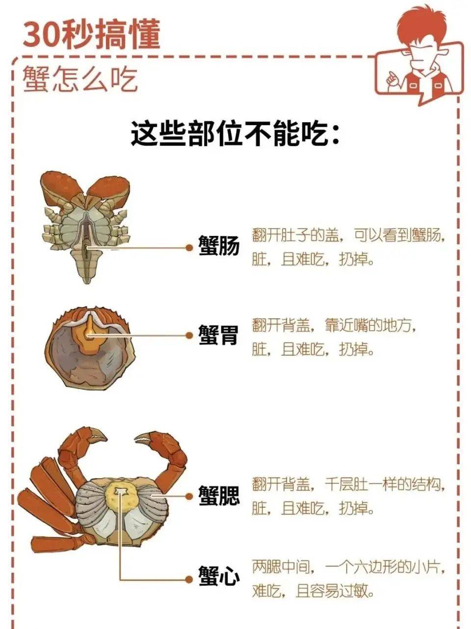 螃蟹食用部分图解图片