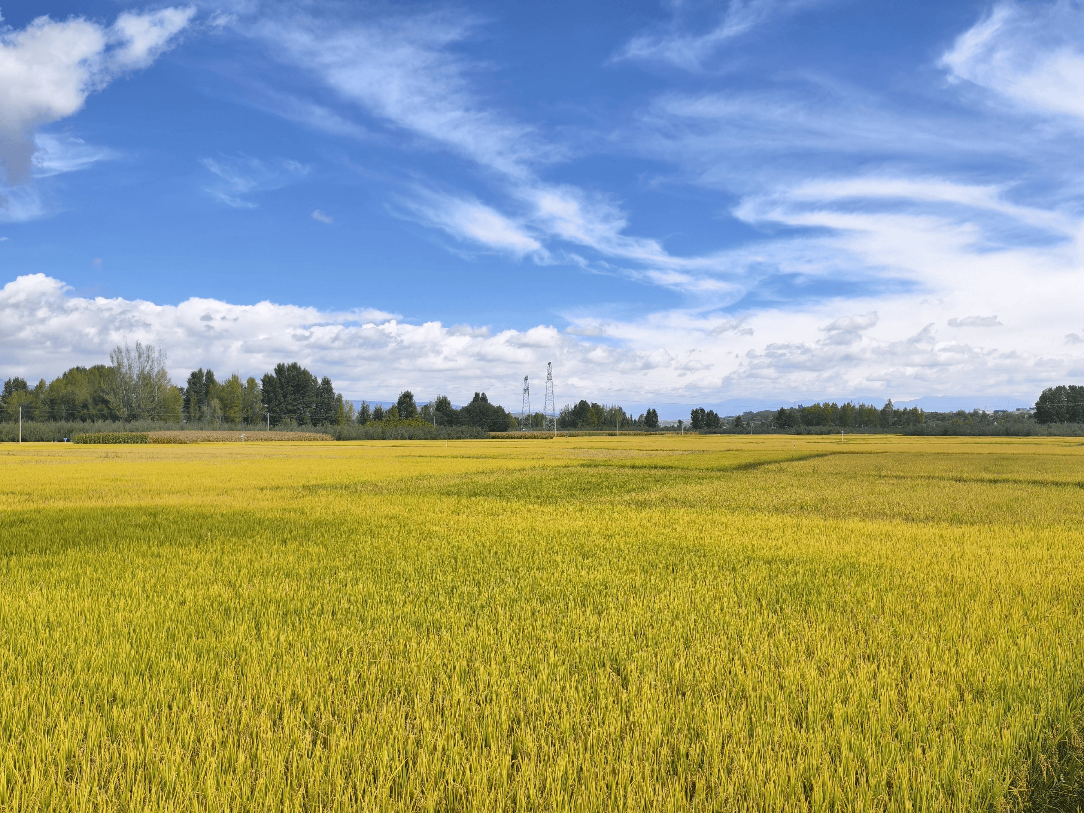 四川盐源:高标准农田助力"天府粮仓"提质增效
