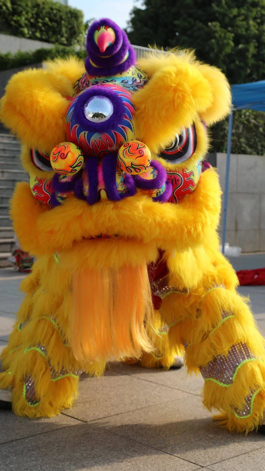 威武,灵动之狮,等你来舞!