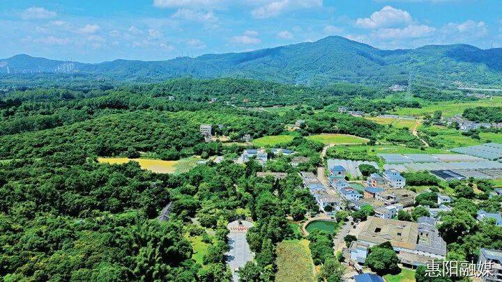 【百千万工程】秋长:深入实施“百千万工程”赋能高质量发展_乡村_建设_田村