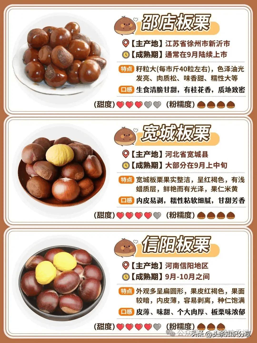 板栗品种介绍图片