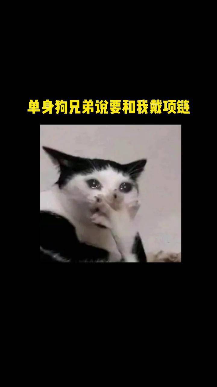 很多姓名项链用英文字母,其实我们的汉字也十分好看!