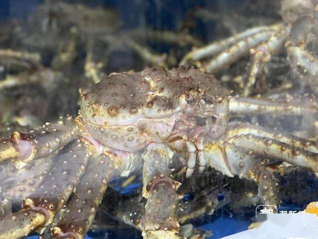 杭州有海鲜老板7天入账200万元-杭州做海鲜生意怎么样赚钱吗