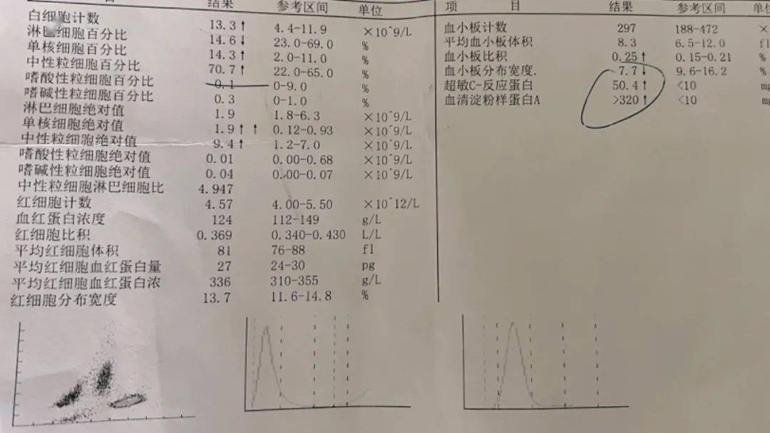 肺炎支原体报告单图片图片