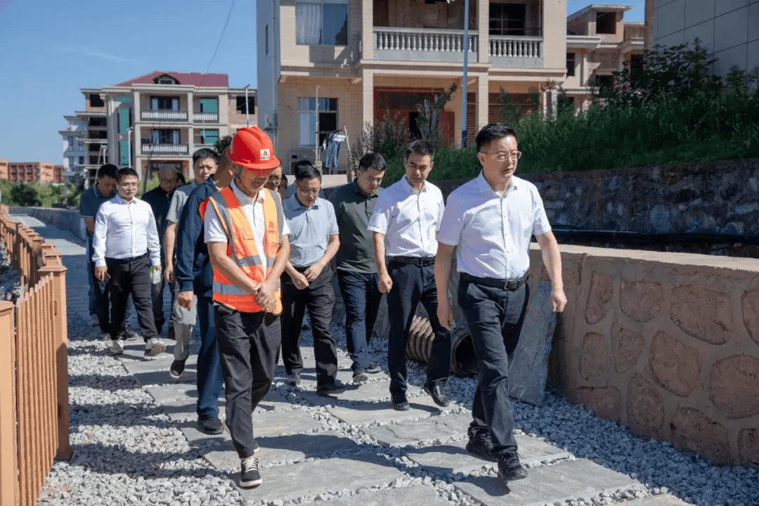 县领导毛黎保陪同调研.