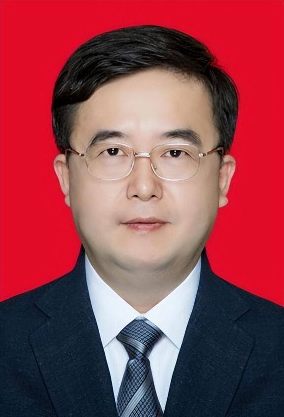 长宁区杨区长图片