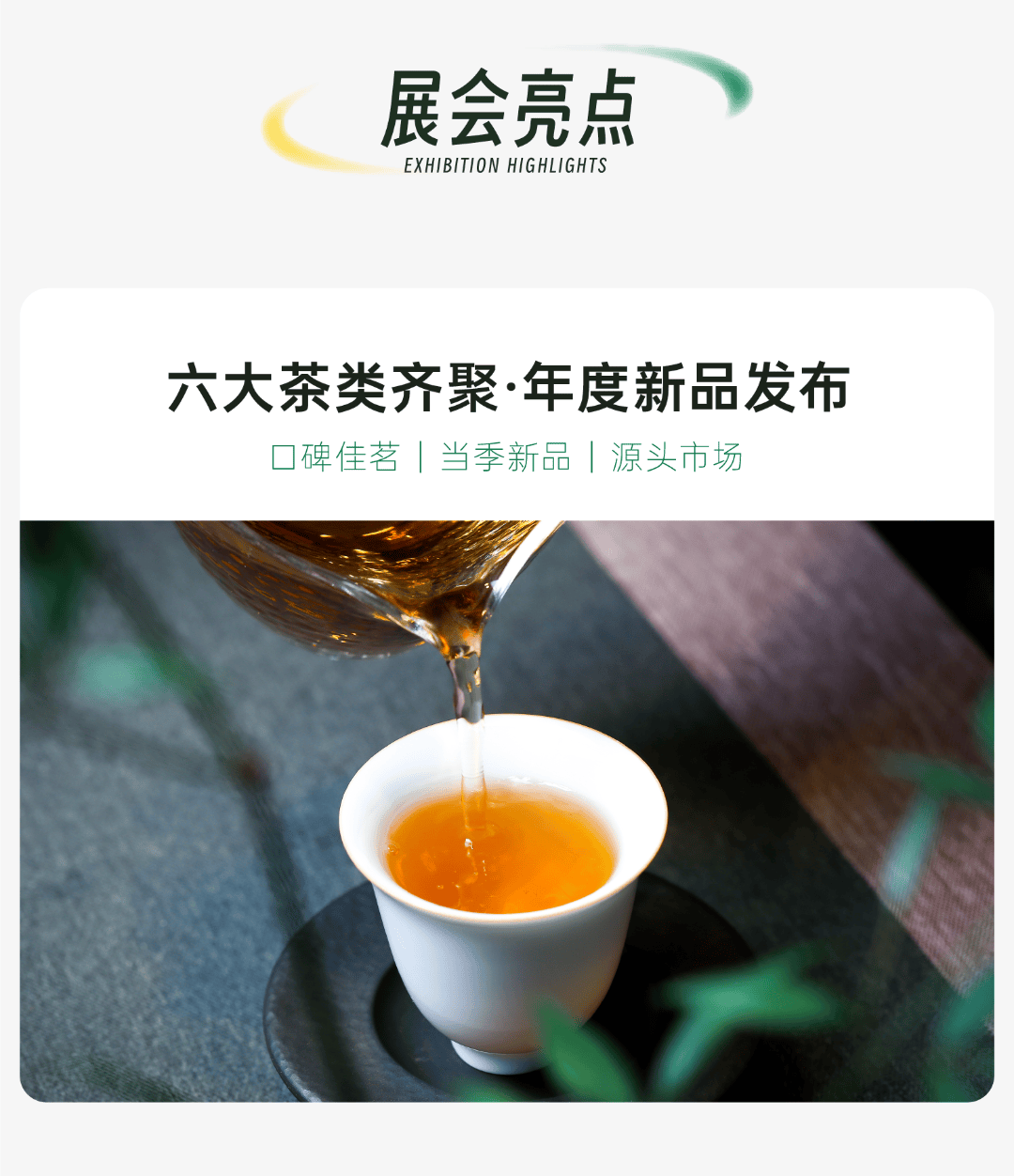 祺茗堂普洱茶图片