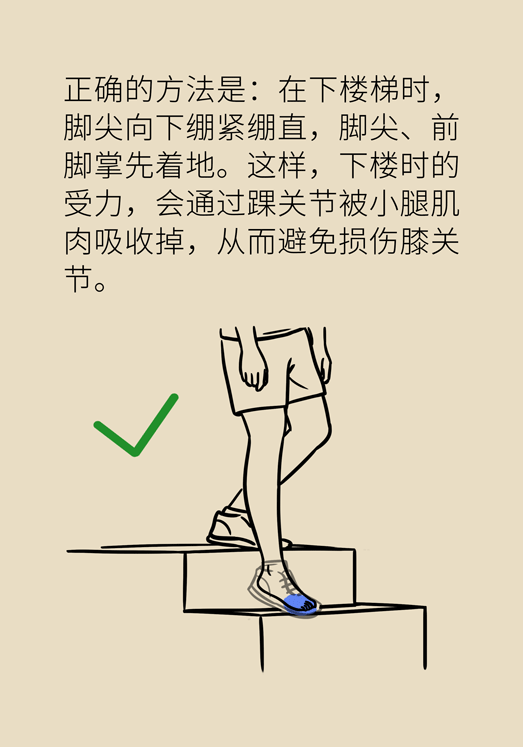 屈膝动作图解图片