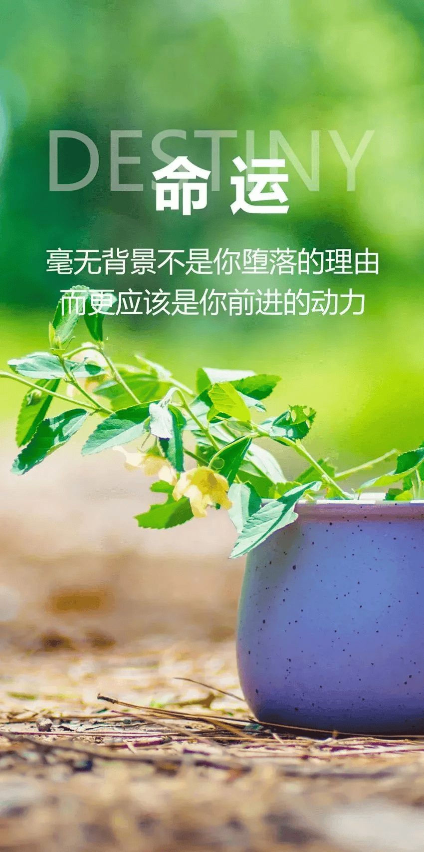 适合发表说说的图片图片