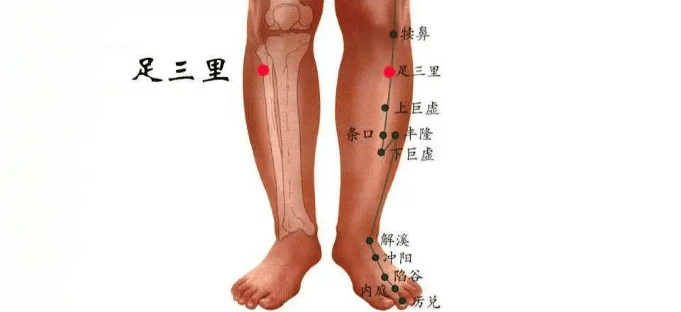 补脾,是调理身体疾病的关键,可惜知道的人太少了!_脾胃_影响_心脏
