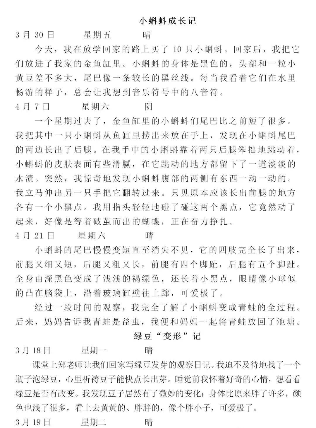 写一篇观察芦荟的日记(写一篇观察芦荟的日记300字)