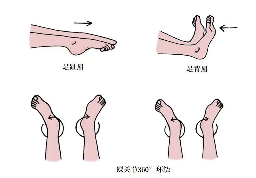 屈髋伸膝试验示意图图片