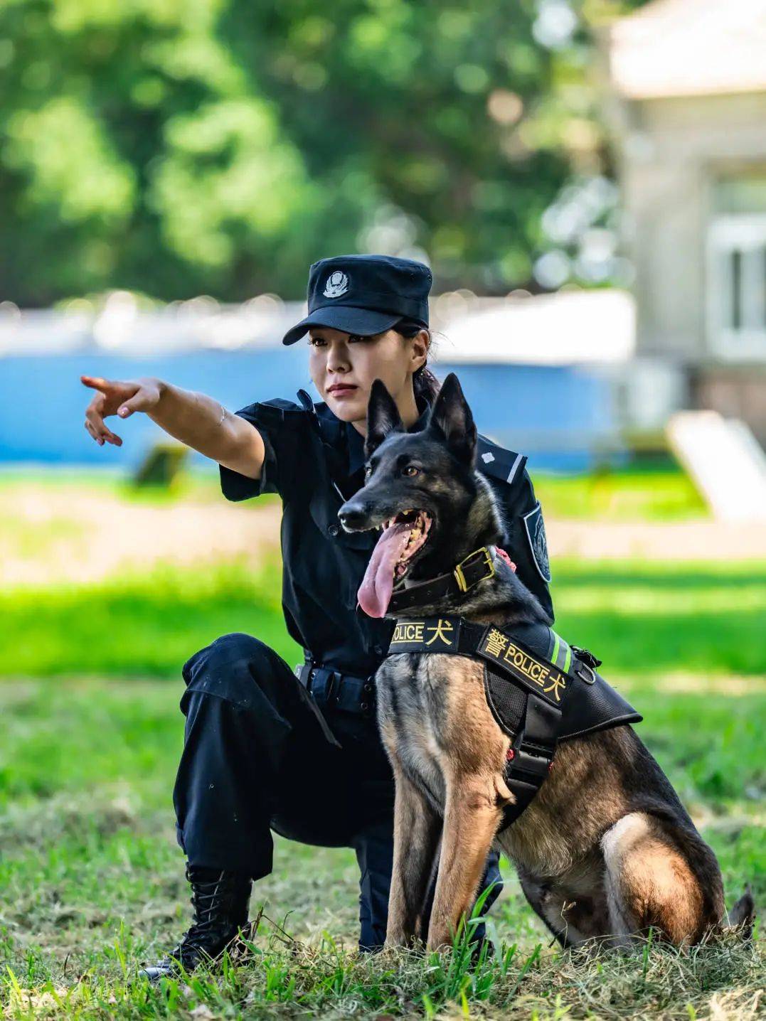 警花与警犬警犬大赛图片